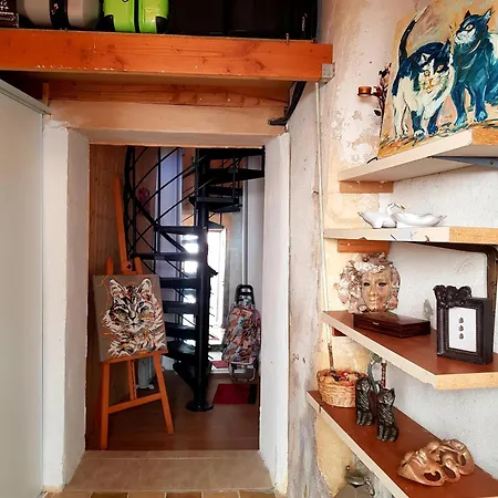 La Maison Des Chats *